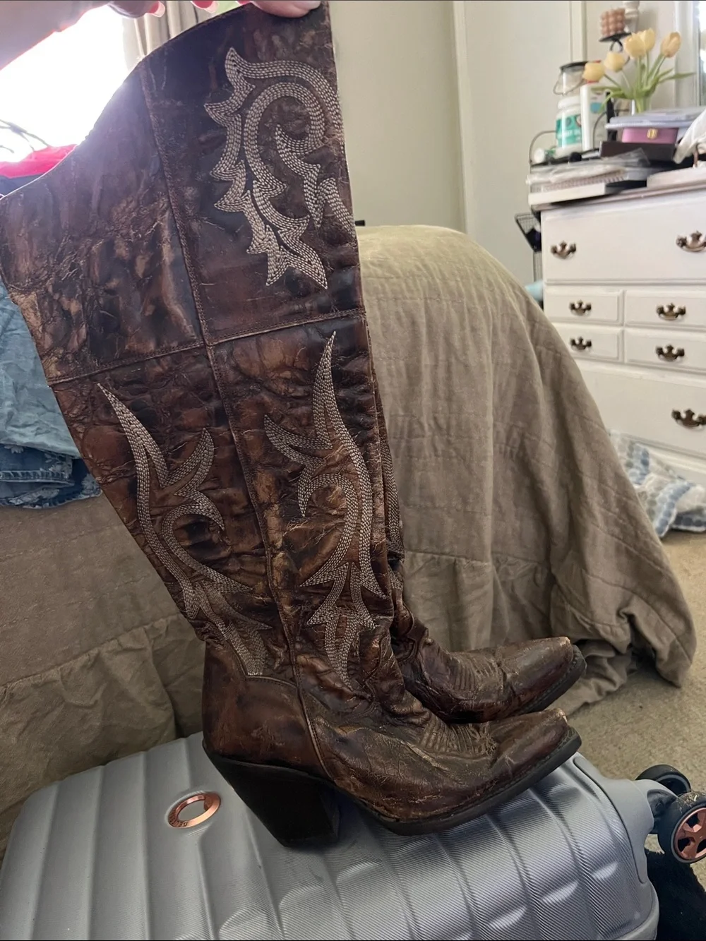 DAN POST WOMEN'S JILTED KNEE HIGH WESTERN BOOTS - Picture 2 of 3